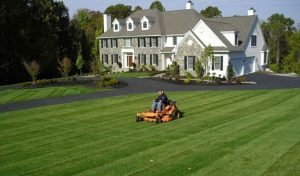 Landscaping Company Watertown